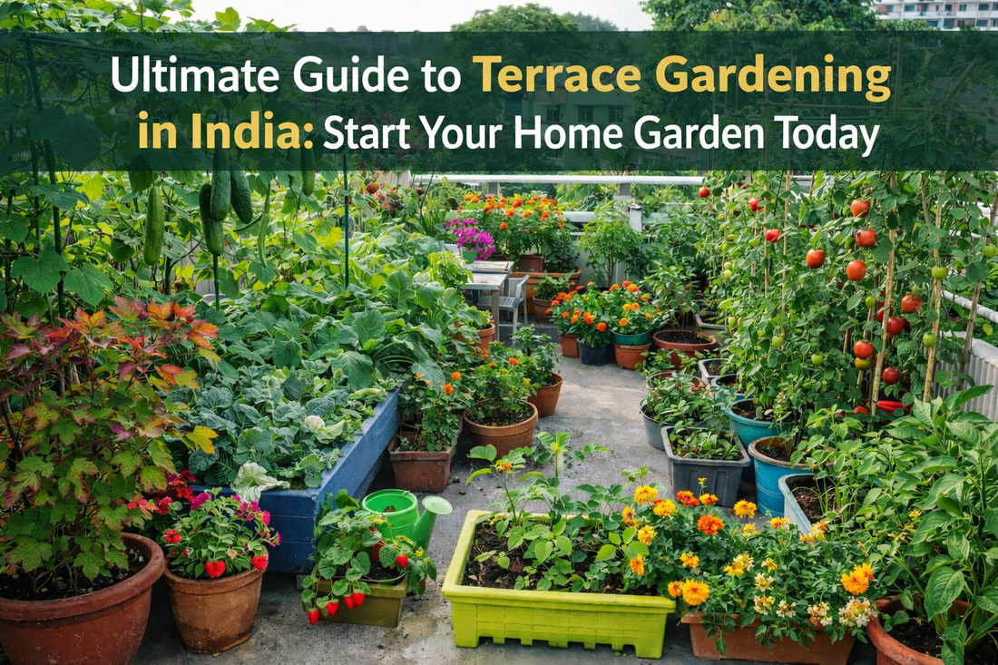 Ultimate Guide to Terrace Gardening in India: Start Your Home Garden Today